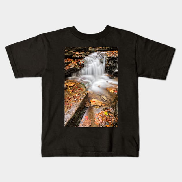 Lowzone Falls Kids T-Shirt by somadjinn